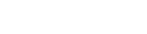 Advantage Foods Pvt Ltd logo