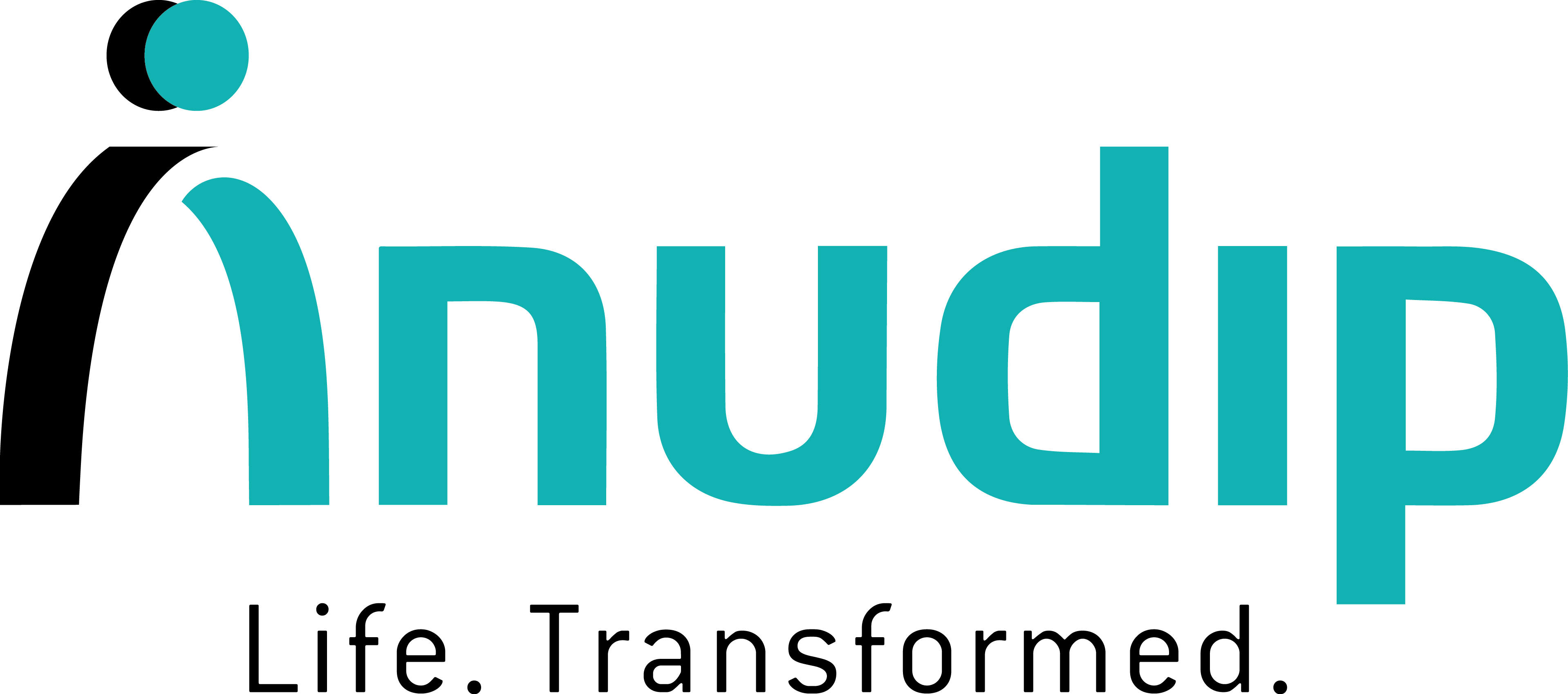 Anudip Foundation logo