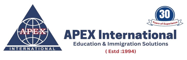 Apex International logo