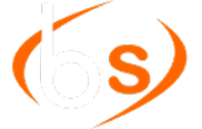 B.S. Group logo