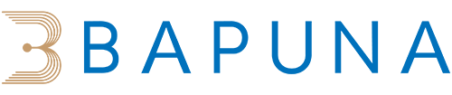 Bapuna Group logo