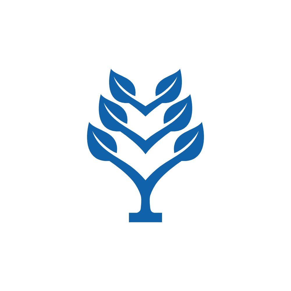 BLOOM TREE IT SOLUTION PRIVATE LIMITED logo