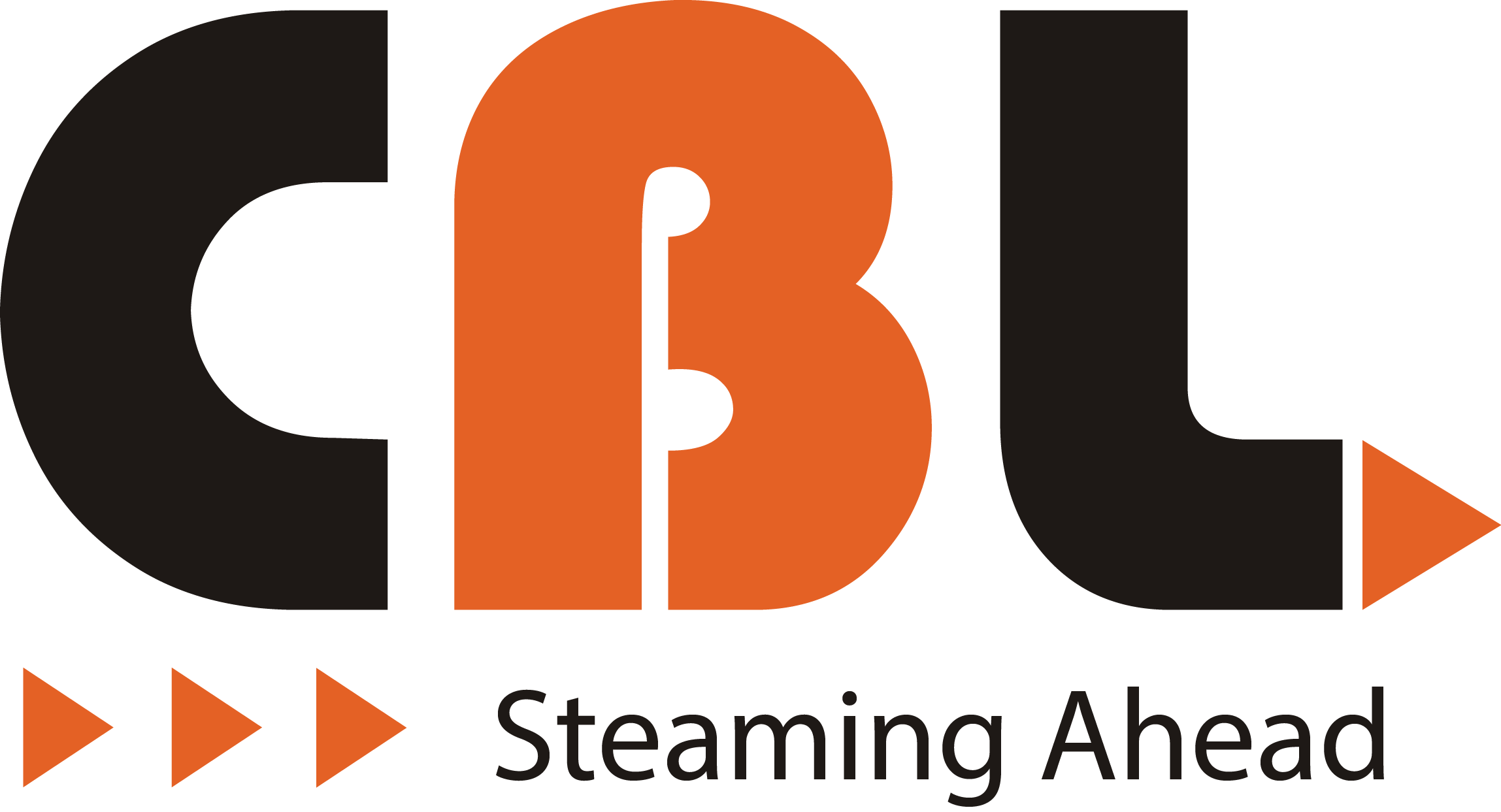 CHEEMA BOILERS LIMITED logo