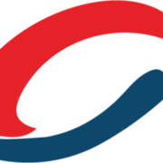 CPS GLOBAL PVT LTD logo