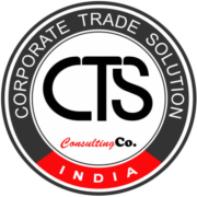 CTS Consulting Co. logo