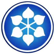 DCM Shriram Rayons logo