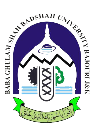 Department of Electrical Engineering, BGSB University (State University) logo