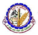 Dr. Rajendra Prasad Central Agricultural University, Pusa logo