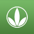 HOLISTIC logo