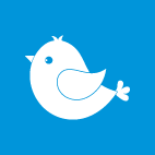 Itsy Bitsy Pvt Ltd logo