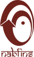 NABFINS LTD logo
