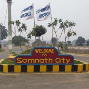 Plots in Neemrana logo