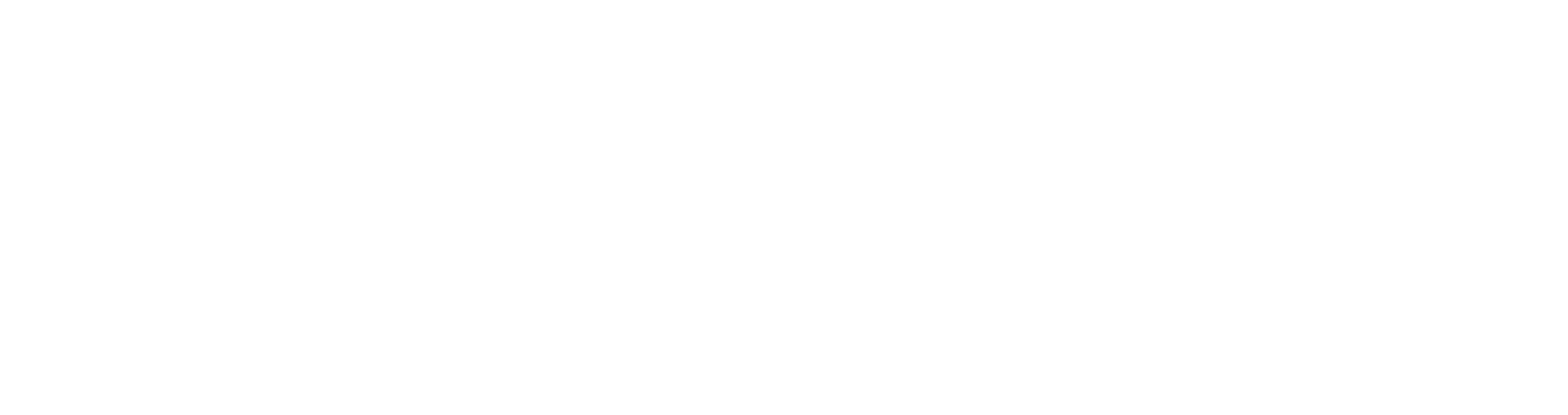 RAYZON SOLAR PVT. LTD. logo