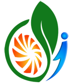 SAI WARDHA POWER LIMITED logo