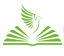 Shaheen Group of Institutions logo