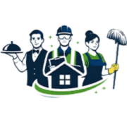 Shine and Standard Pvt Ltd. logo