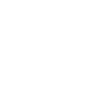 Skillerio Private Limited logo