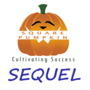 Square Sequel Consulting Pvt. Ltd logo