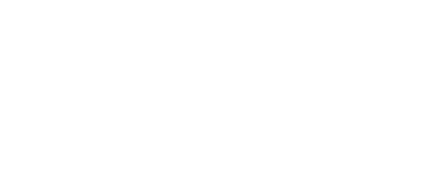 SUB ZERO INSULATION TECHNOLOGIES PRIVATE LIMITED logo
