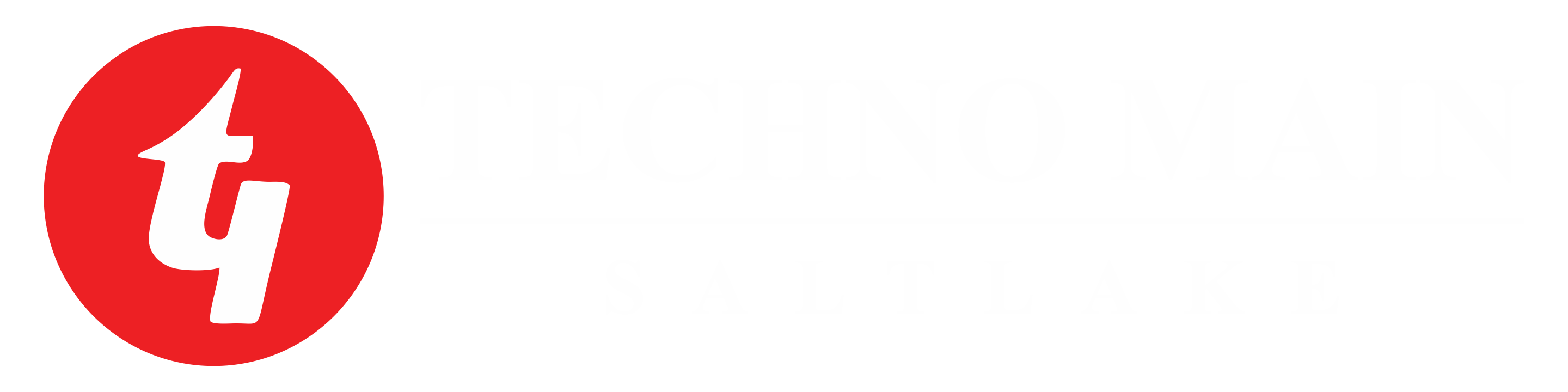 Techno India, Salt Lake logo