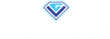 VARNI GEMS logo