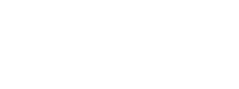 Vikram Solar logo