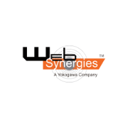 Web Synergies (india) logo